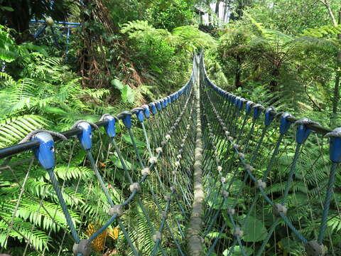 桐花公園內的三角吊橋