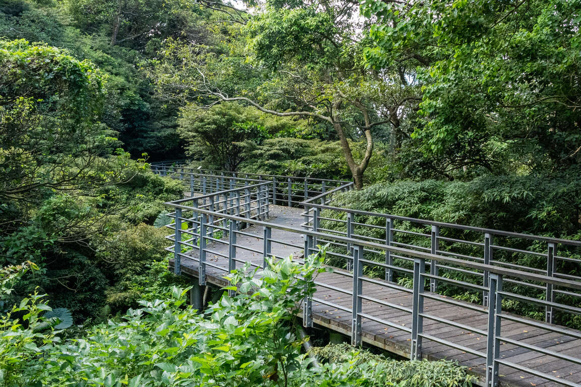 曲折步道