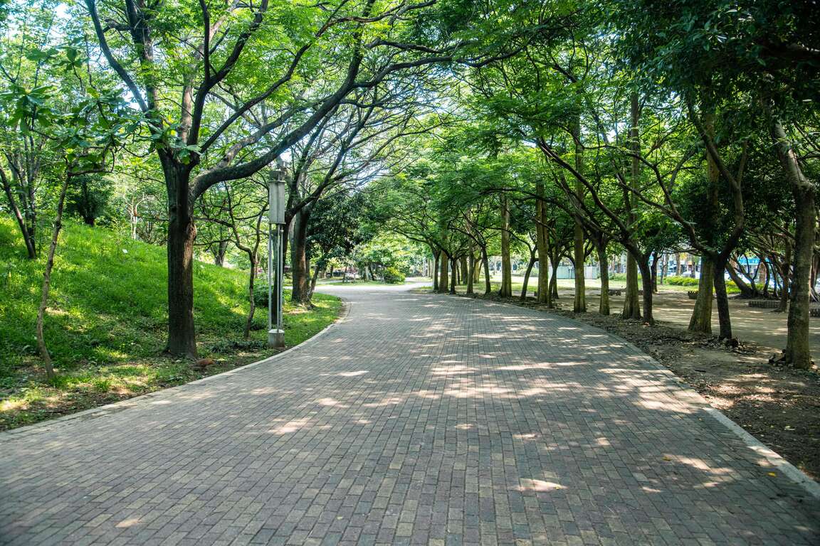 中和公園內步道