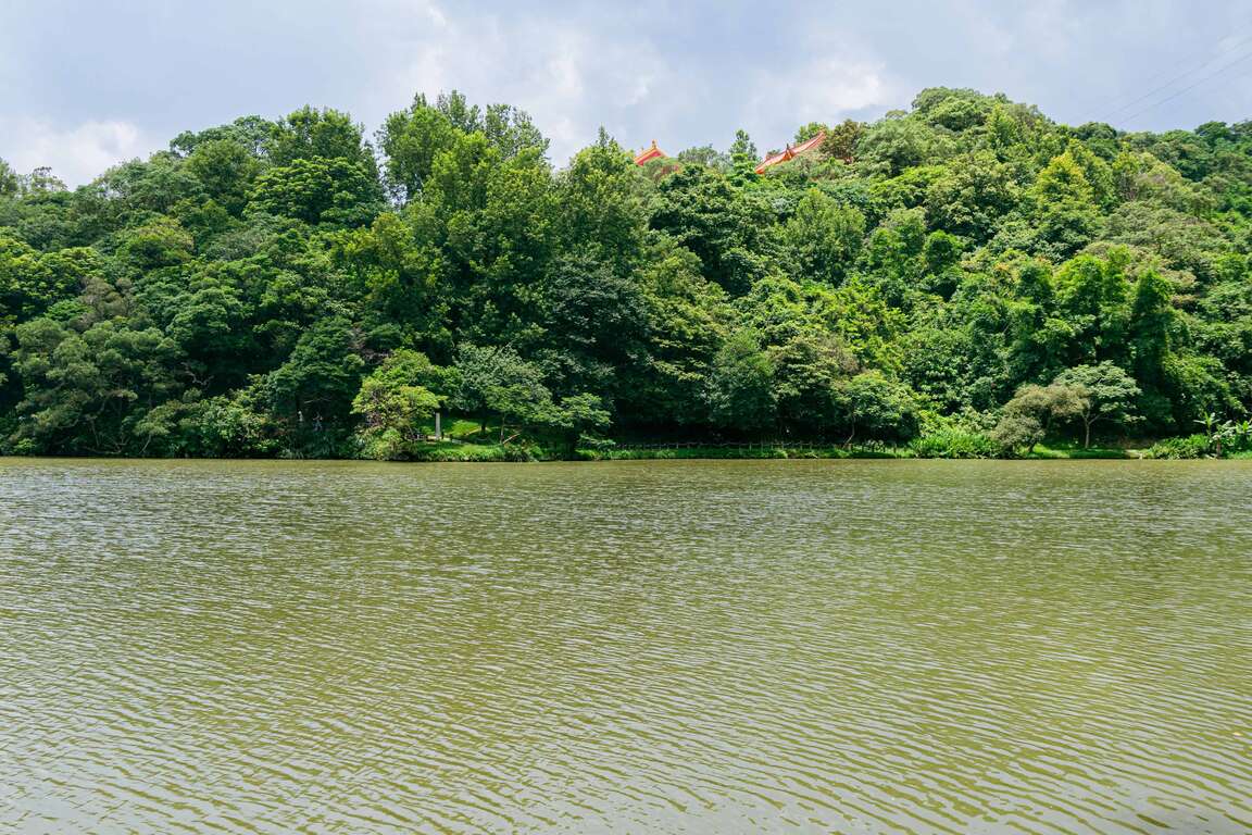 金龍湖為新北第一大湖