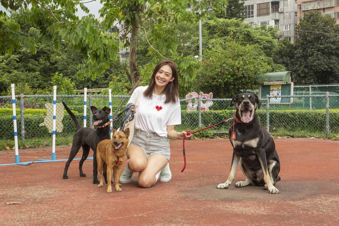 愛‧無限大 就愛毛小孩-王心恬帶狗散步