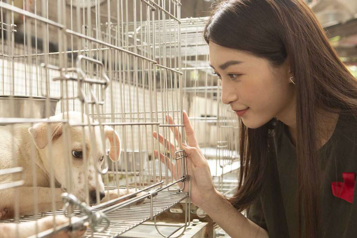 愛‧無限大 就愛毛小孩-林蔚廷看浪浪