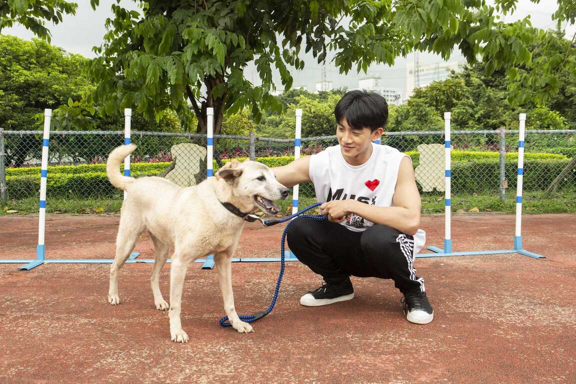 愛‧無限大 就愛毛小孩-陳宥翔與狗互動