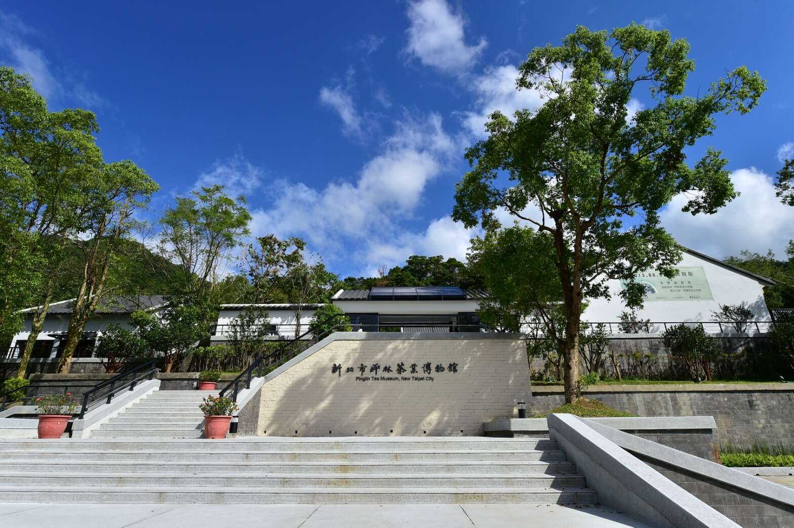 新北市坪林茶業博物館階梯