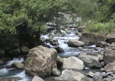 三峽滿月圓森林遊樂區溪水