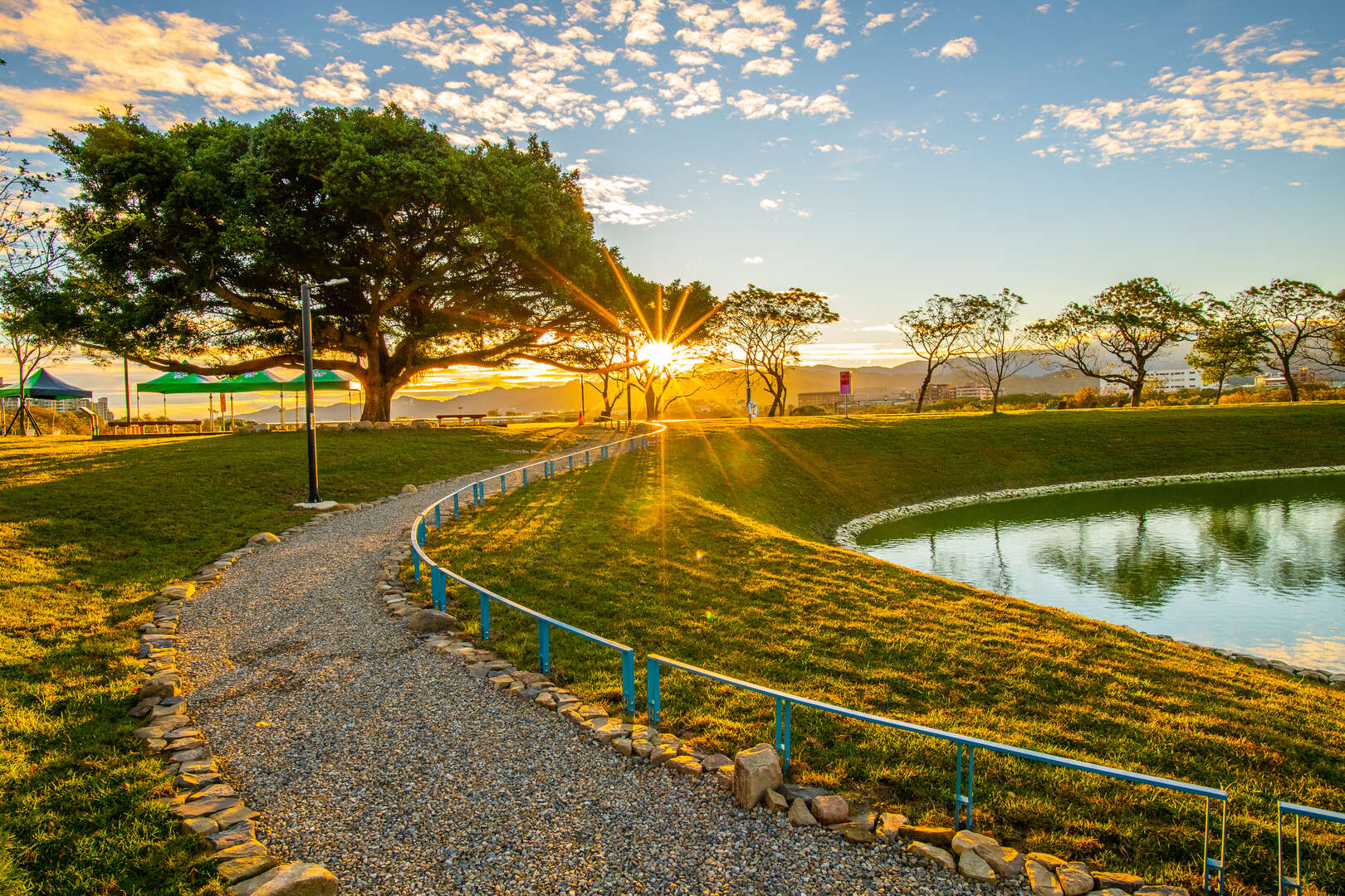沐心池周邊百年榕樹