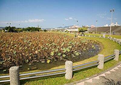 荷花公園-公園池岸