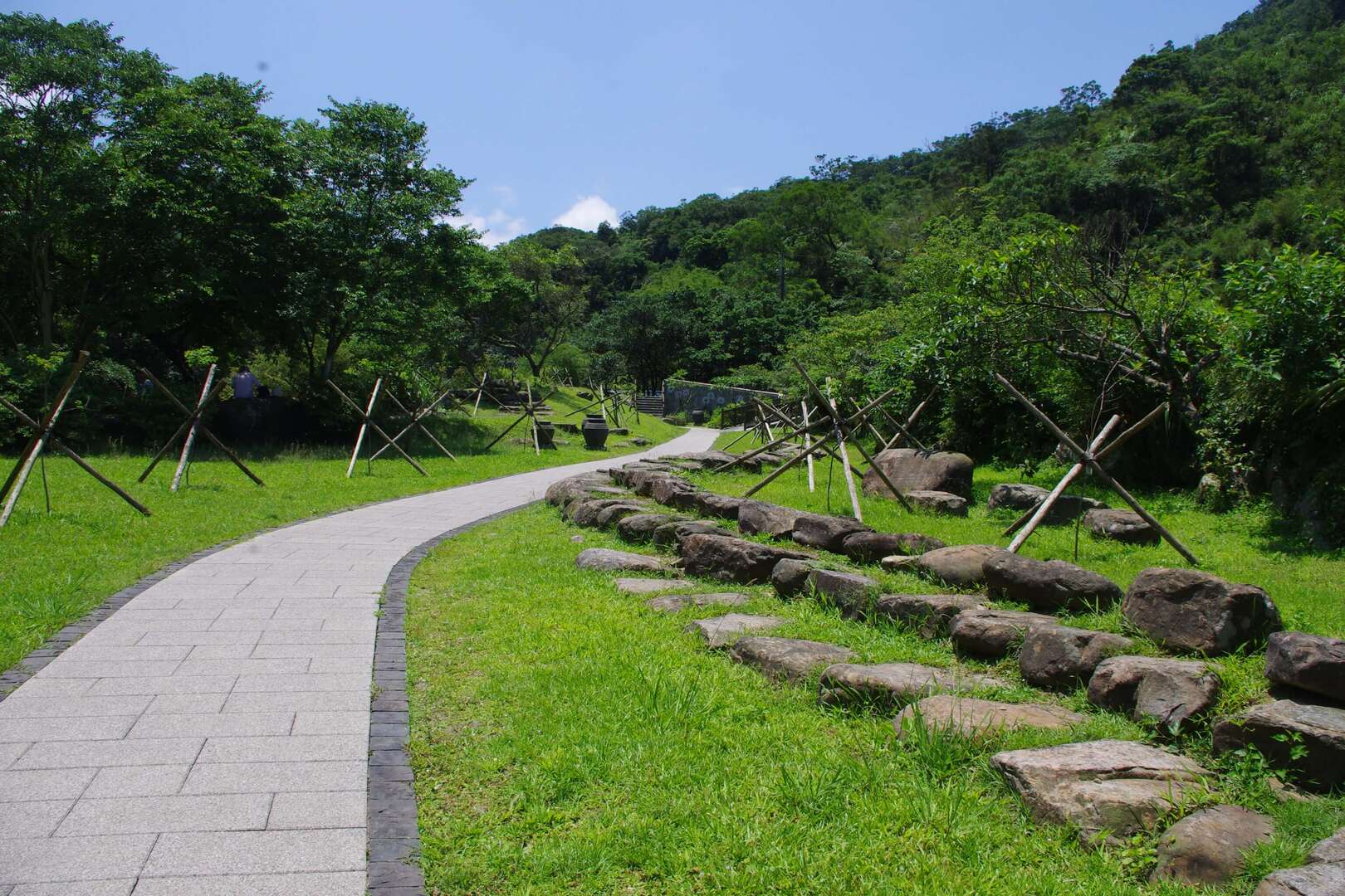 遠望坑親水公園步道中景