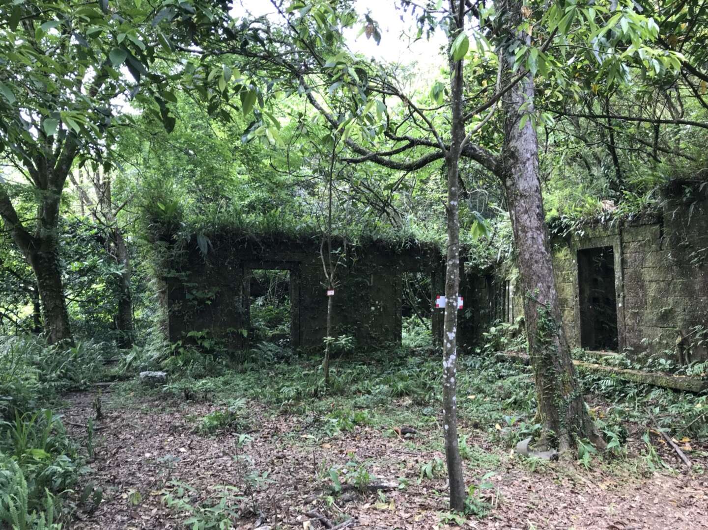曹田公館