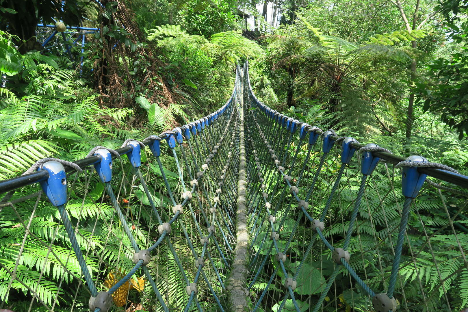 桐花公園內的三角吊橋