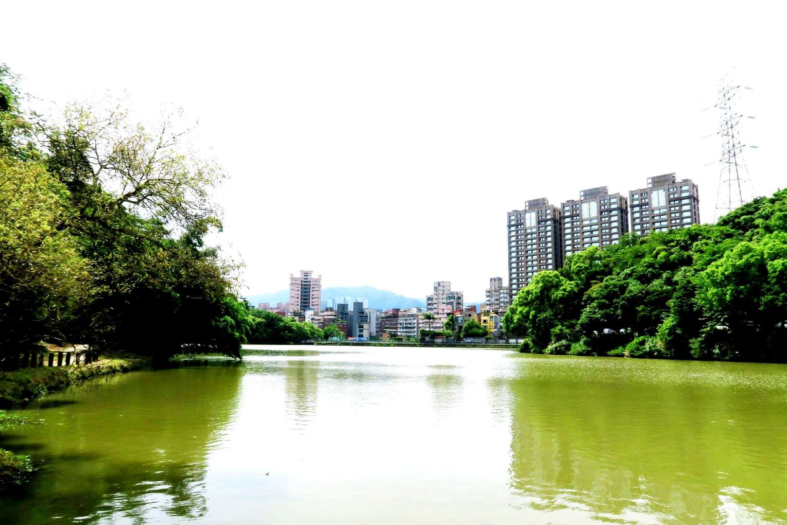 金龍湖平靜的水面