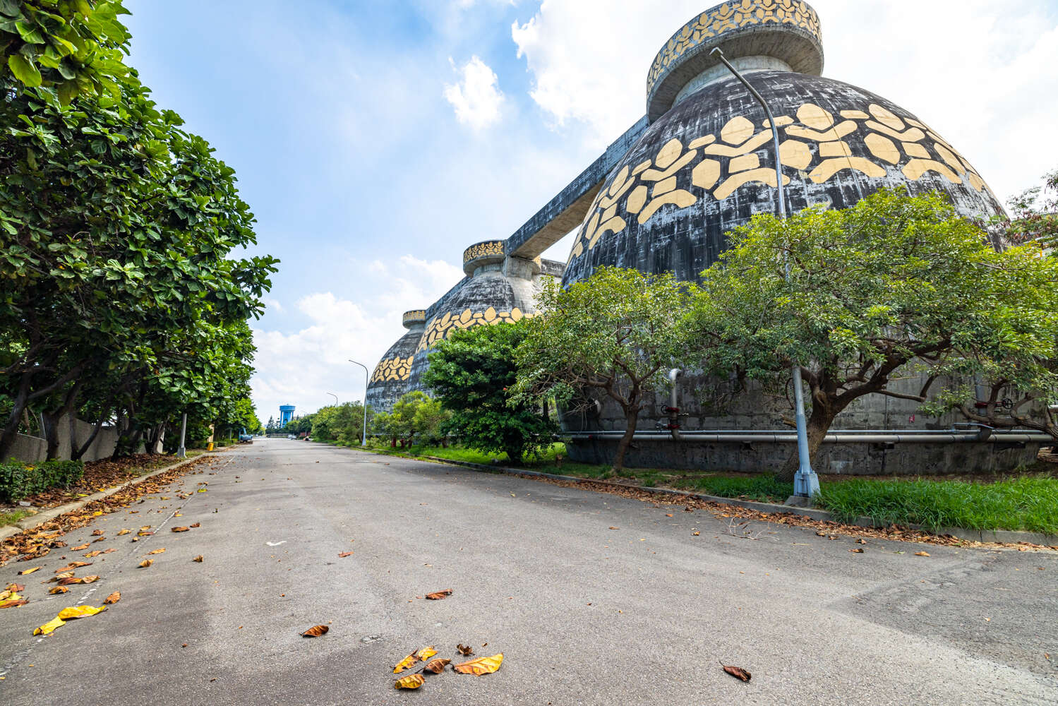 蛋形消化槽與道路