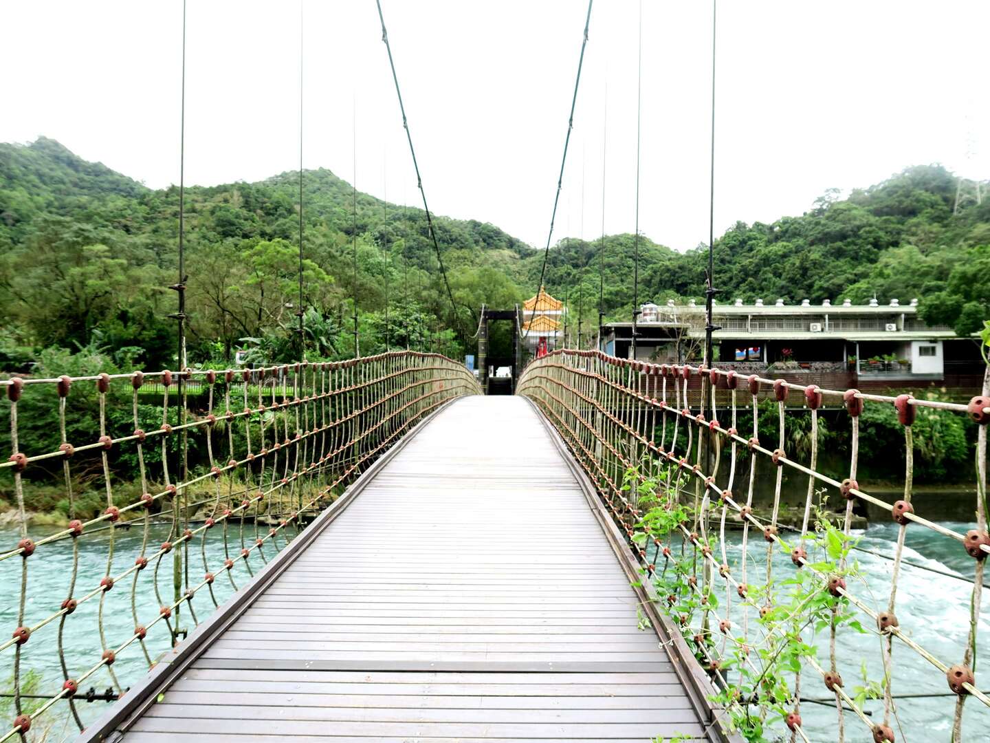 親水吊橋橋面