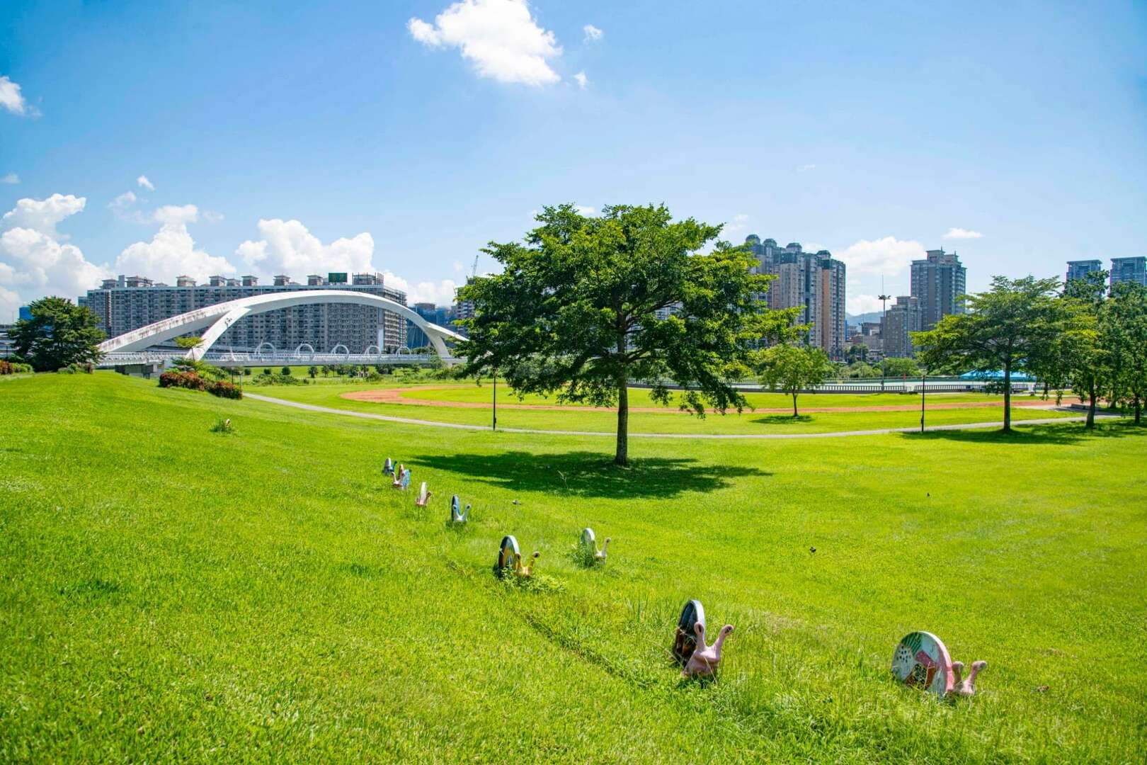 新店陽光運動公園內的大草坪
